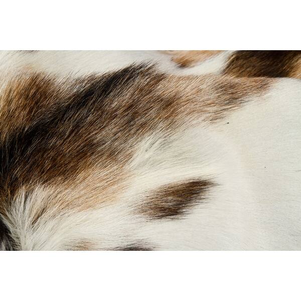 Natural Home Decor Classic Calfskin Throw Rug 1Piece 2' x 3' Oval Bed Bath & Beyond